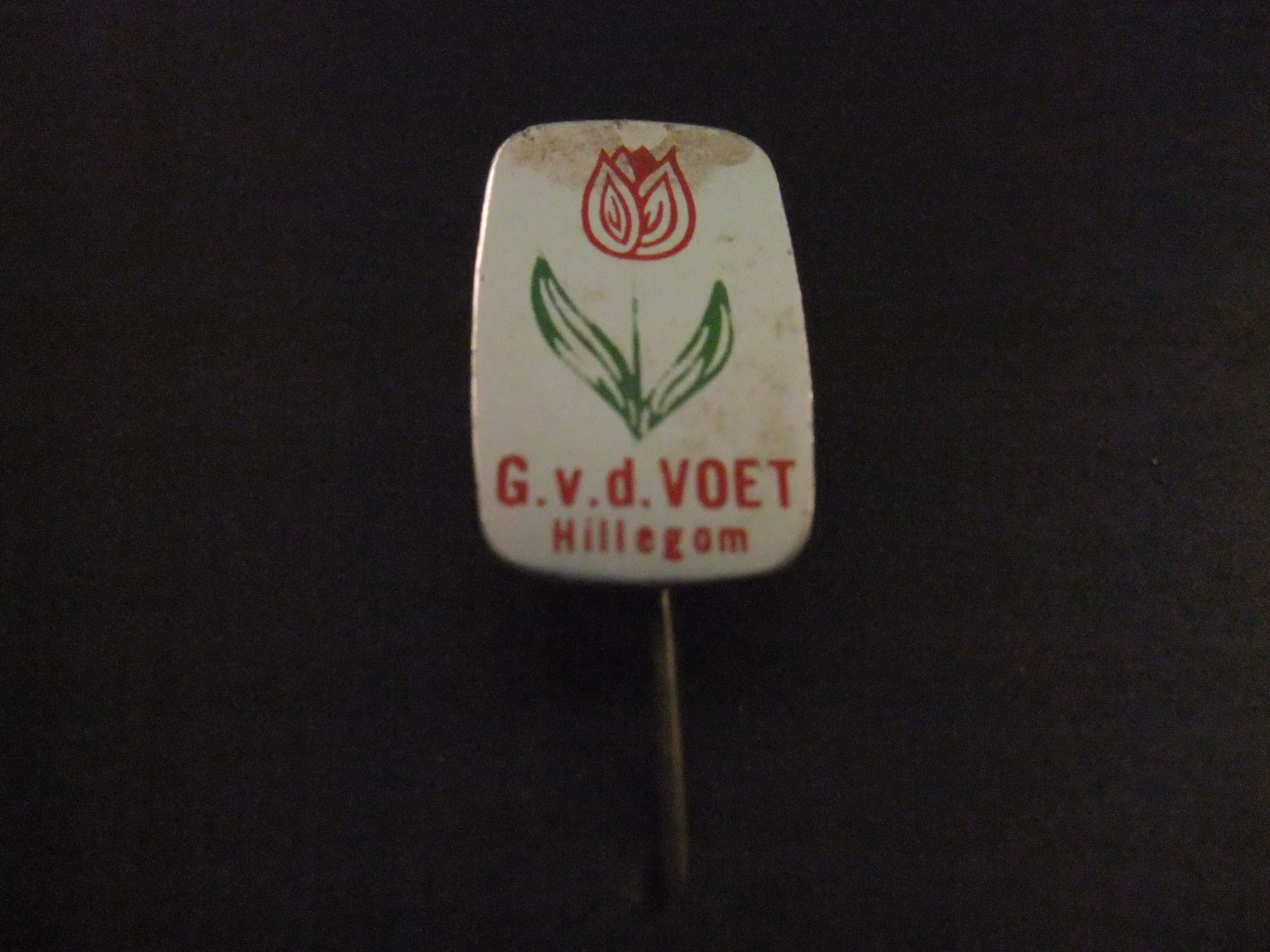 G. Van der Voet Hillegom tulpen